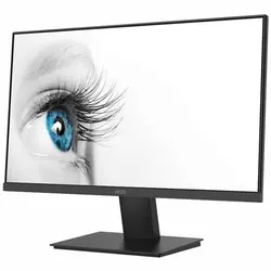 MSI Pro MP241X 23.8Inch FHD 4ms 75Hz VA Monitor