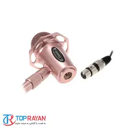 Yanmai Y20 NEW Studio Microphone