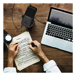 Yanmai SF-900 PLUS Microphone