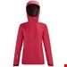 کاپشن اسکی و کوهنوردی زنانه میلت فرانسه Millet Womens Gore-Tex jacket / red