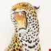 مجسمه سفالی دکوری پلنگ آنتیک قدیمی Italienischer lebensgroßer Terrakotta Leoparden Leoparden 1960er Jahre