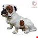 مجسمه دکوری سگ آنتیک قدیمی Englische Bulldogge Chalkware Skulptur  Skulptur Statue in Lebensgröße Marwal 1960er Jahre