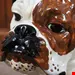 مجسمه دکوری سگ آنتیک قدیمی Englische Bulldogge Chalkware Skulptur  Skulptur Statue in Lebensgröße Marwal 1960er Jahre