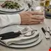 سرویس چاقو و چنگال 12 پارچه ویکتورینوکس سوئیس Victorinox Swiss Modern 12-teilig mint-grün