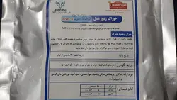 کنسانتره سوپر پروتئین آ.وی.پی۴ جهت رشد وعملکرد زنبور