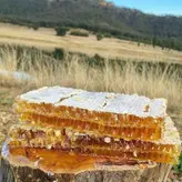 عسل سبز عوالان ۱کیلوی ۱۰۰٪طبیعی و۱۰۰٪تضمینی با ساکاروز زیر (۱)