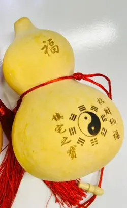 کدو قلیانی کدو فنگ شویی طبیعی وارداتی