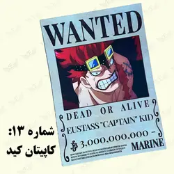 پوستر وانتد وان پیس wanted، پوستر تحت تعقیب انیمه- ارن شاپ