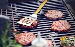 انبر و لوازم باربیکیو سفری و قابل حمل پارمیس