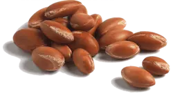 روغن آرگان خالص مراکش 100% اصلی