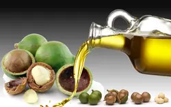 روغن ماکادمیا اصلی 100% طبیعی