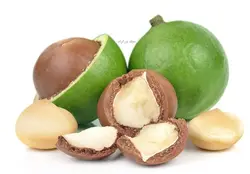 روغن ماکادمیا اصلی 100% طبیعی