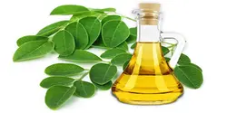 روغن مورینگا اصلی 100% طبیعی