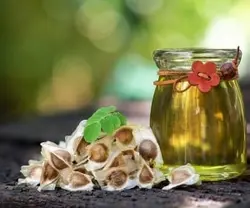 روغن مورینگا اصلی 100% طبیعی