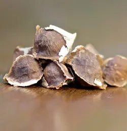 روغن مورینگا اصلی 100% طبیعی