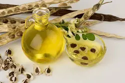 روغن مورینگا اصلی 100% طبیعی
