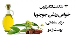 روغن جوجوبا اصلی 100% طبیعی