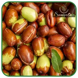 روغن جوجوبا اصلی 100% طبیعی