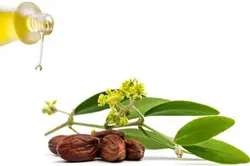 روغن جوجوبا اصلی 100% طبیعی