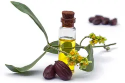 روغن جوجوبا اصلی 100% طبیعی