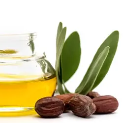 روغن جوجوبا اصلی 100% طبیعی