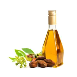 روغن جوجوبا اصلی 100% طبیعی