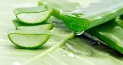 روغن آلوئه ورا اصلی 100% طبیعی