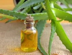 روغن آلوئه ورا اصلی 100% طبیعی