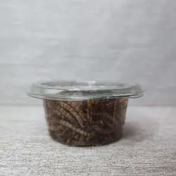 کرم میلورم 10 گرمی