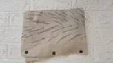 شومیز مانتو مدل پر