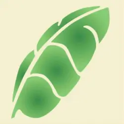 شابلون دیواری برگ کد 641