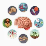 استیکر لپ تاپ و موبایل بووم طرح تحول بشر کد MM147 مجموعه 9 عددی