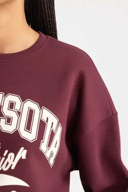 سویشرت ضخیم یقه خدمه فیت سایز بزرگ - یاری شاپ