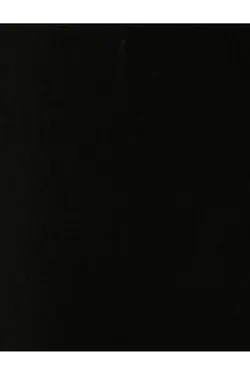 یقه کراوات آستین بلند پیراهن شیفون شفاف - یاری شاپ