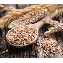 قیمت و خرید شامپو بیوتین و کلاژن او جی ایکس (OGX) اصل – ضد ریزش و ضخیم کننده مو 385 میل - یولایف بیوتی