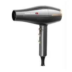 سشوار فوق حرفه‌ای سالنی برند ولروس (Valorous)، مدل VL-501 - شهرمن