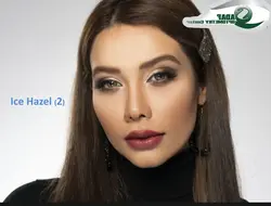 لنز طبی رنگی فستیوال (مرنینگ کیو) Festival - morning Q