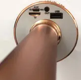 میکروفون اسپیکر مدل WS-858