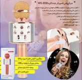 میکروفون اسپیکر مدل WS-858