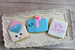 بودکور کاتر کوکیز پاکت نامه 2700101