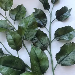 بودکور ست کاتر گلسازی 2 تایی برگ رز 230028