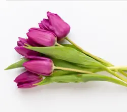 بودکور ست کاتر گلسازی 2 تایی برگ لاله 230038