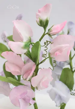 بودکور ست کاتر گلسازی 2 تایی سوئیت پی 230033