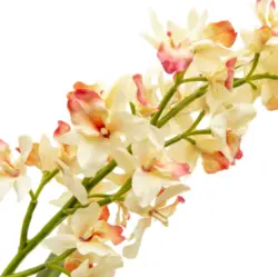 بودکور ست کاتر گلسازی 2 تایی گل برفی 230070