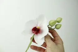 بودکور ست کاتر گلسازی 3 تایی ارکیده بی مغزی 230073