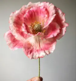 بودکور ست کاتر گلسازی 3 تایی پاپی 230034