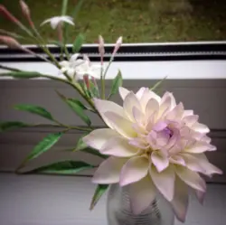 بودکور ست کاتر گلسازی 3 تایی داهیلا 230055