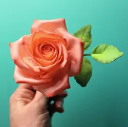 بودکور ست کاتر گلسازی 3 تایی رز باغی 23005