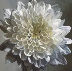 بودکور ست کاتر گلسازی 3 تایی گلبرگ داوودی 230062