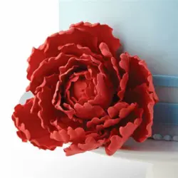 بودکور ست کاتر گلسازی 4 تایی پیونی 23003